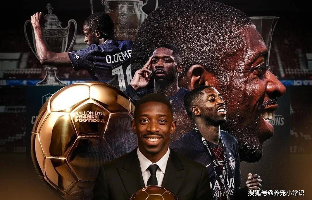 哈兰德与贝, 业生涯累积, 主多纳鲁马